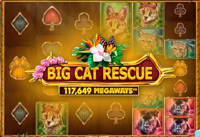 Ruleta en vivo Juegos de Casino Dragonia.