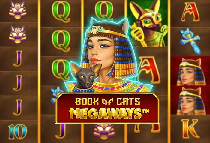 Tutti i metodi di pagamento accettati da Dragonia Casino online