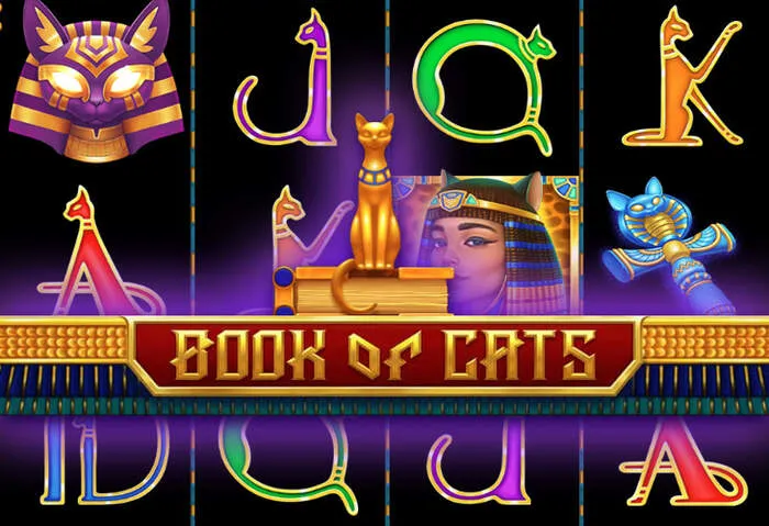 Retraits vérifiés et paiements flexibles chez Dragonia Casino